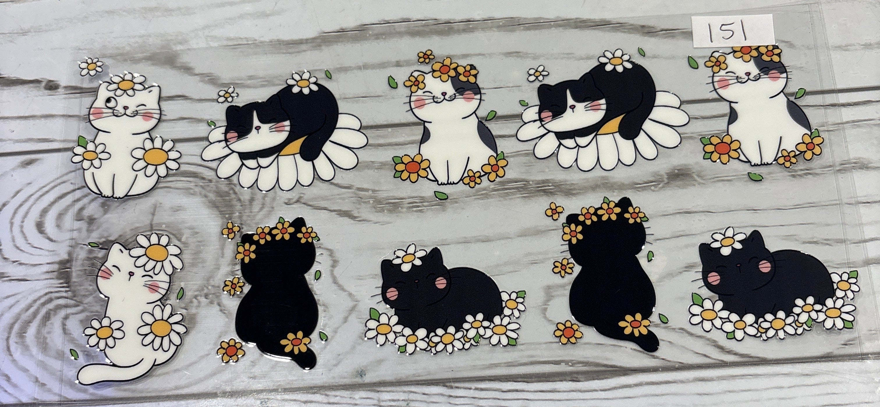 Cat #151