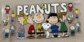 Charlie Brown #269