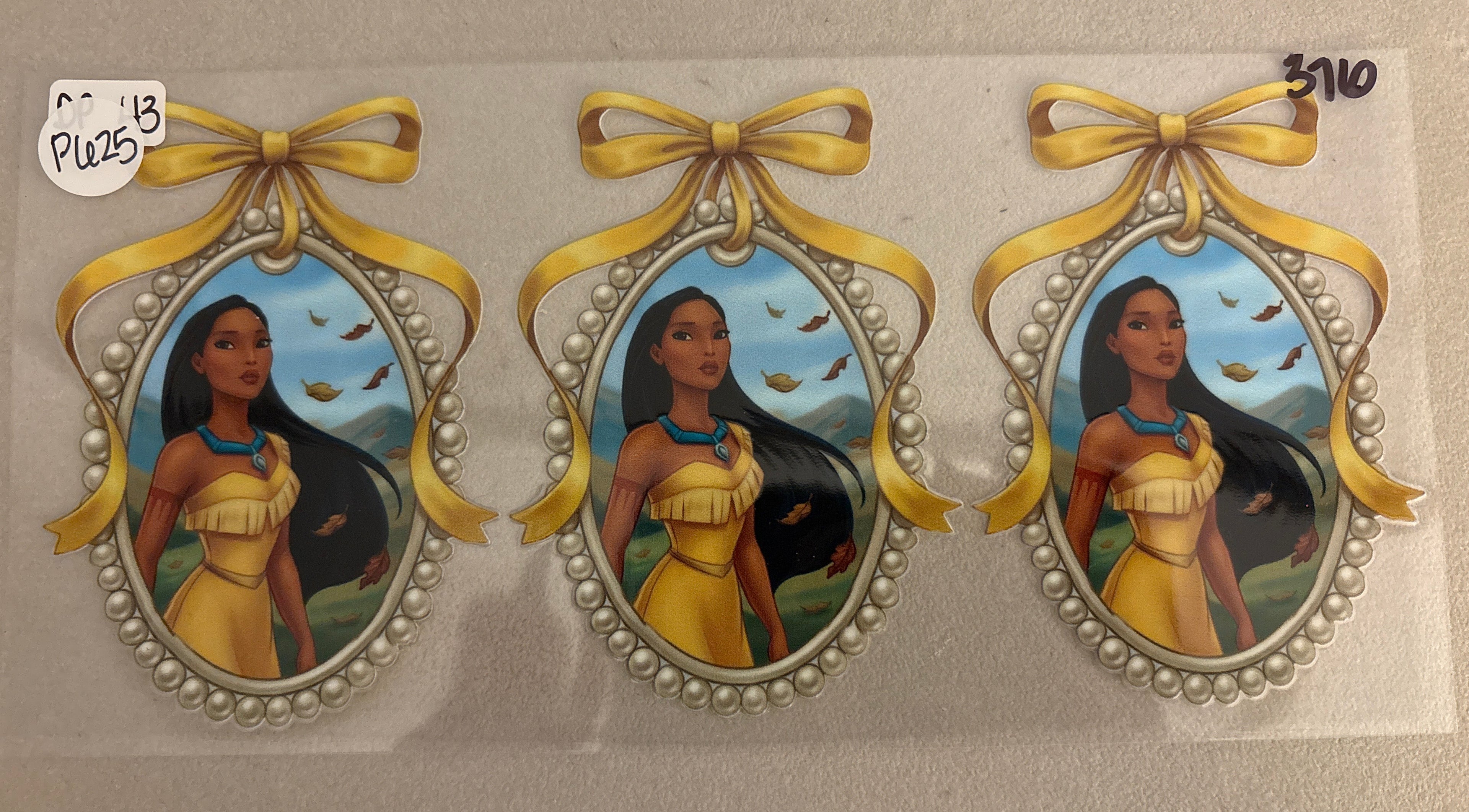 376 Pocahontas