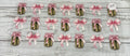 Pickle jar and bows #238