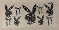 2005 playboy bunny
