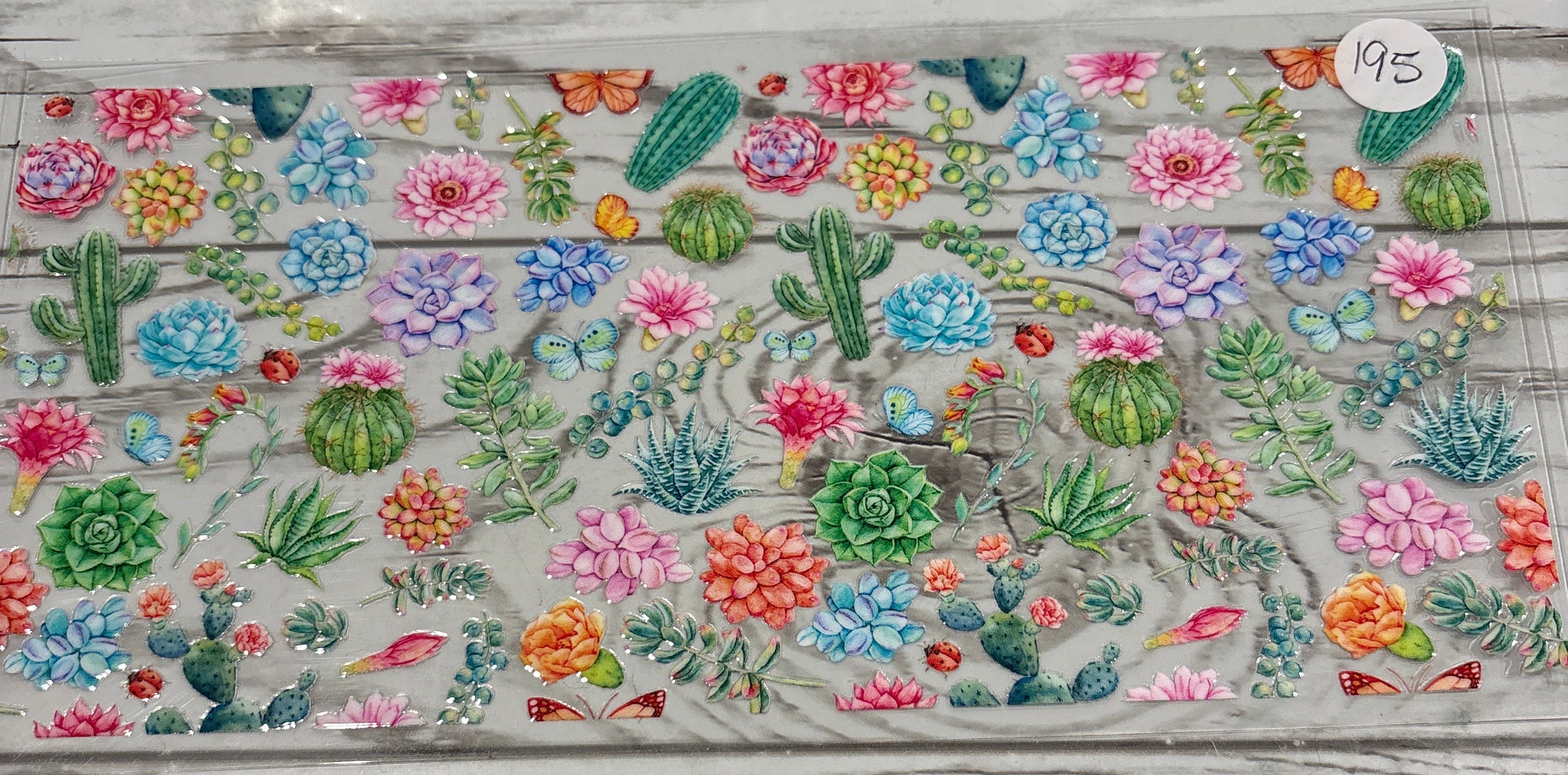 Cactus and flowers #195