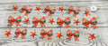 Seashell bows #3