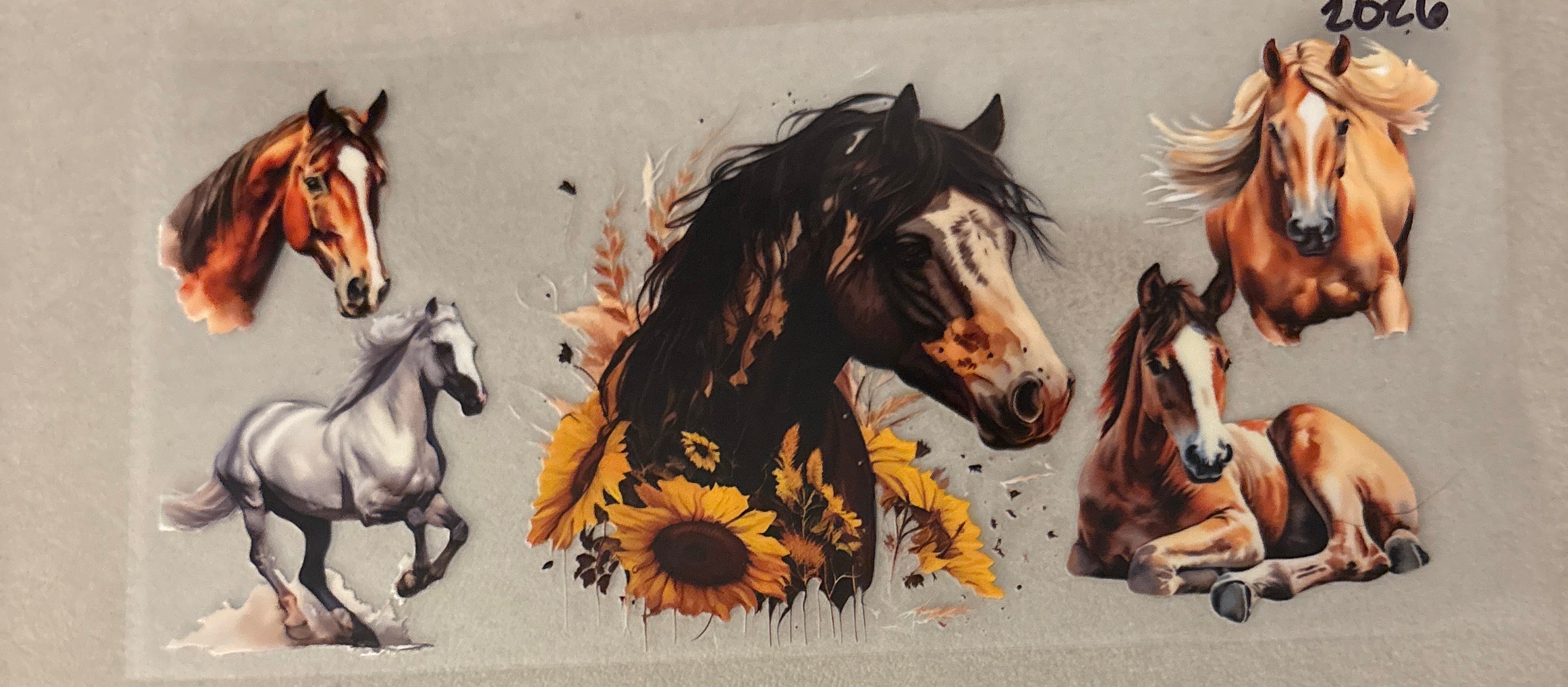 2026 horse
