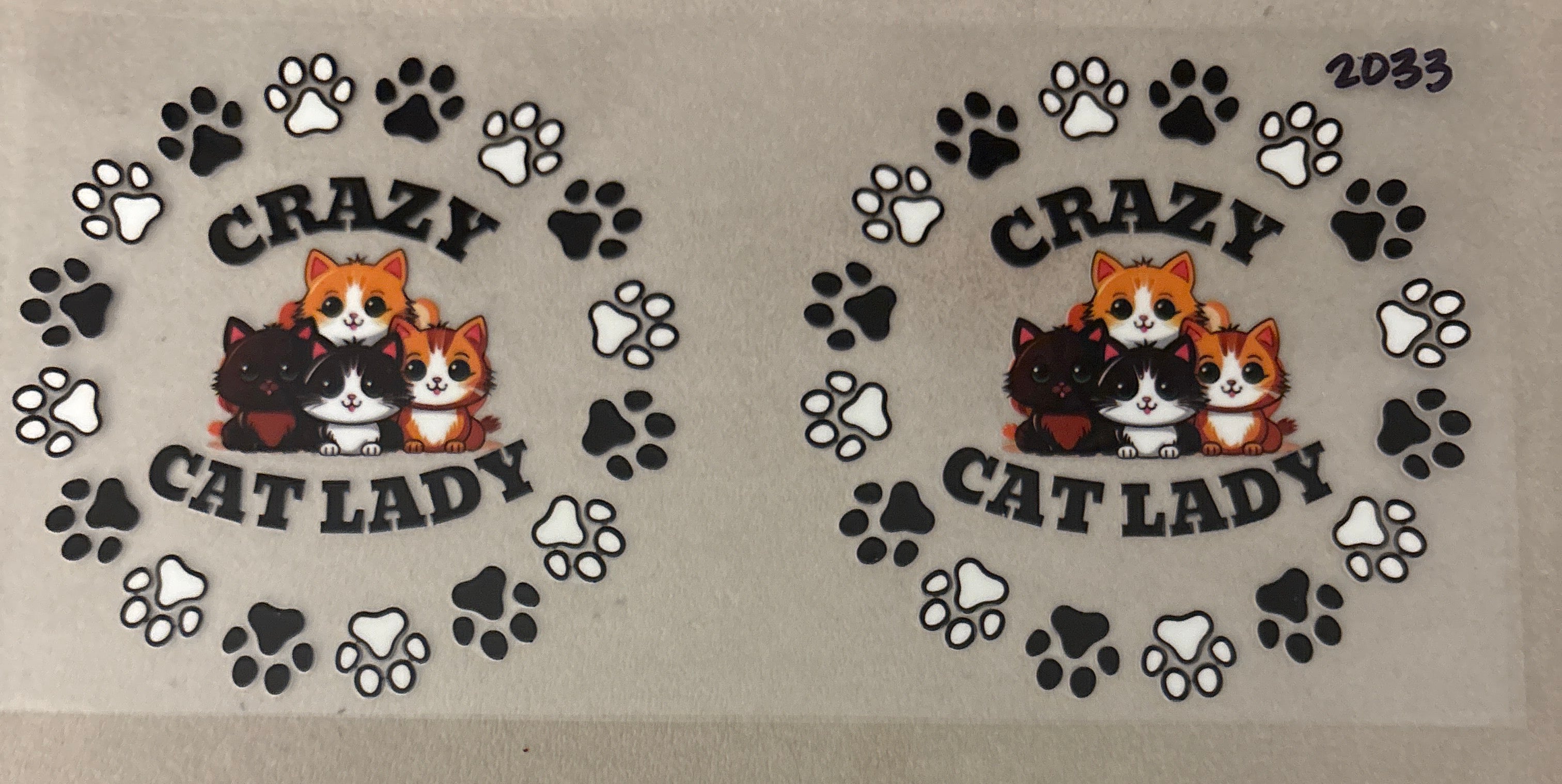 2033 crazy cat lady