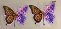 322 cross butterfly