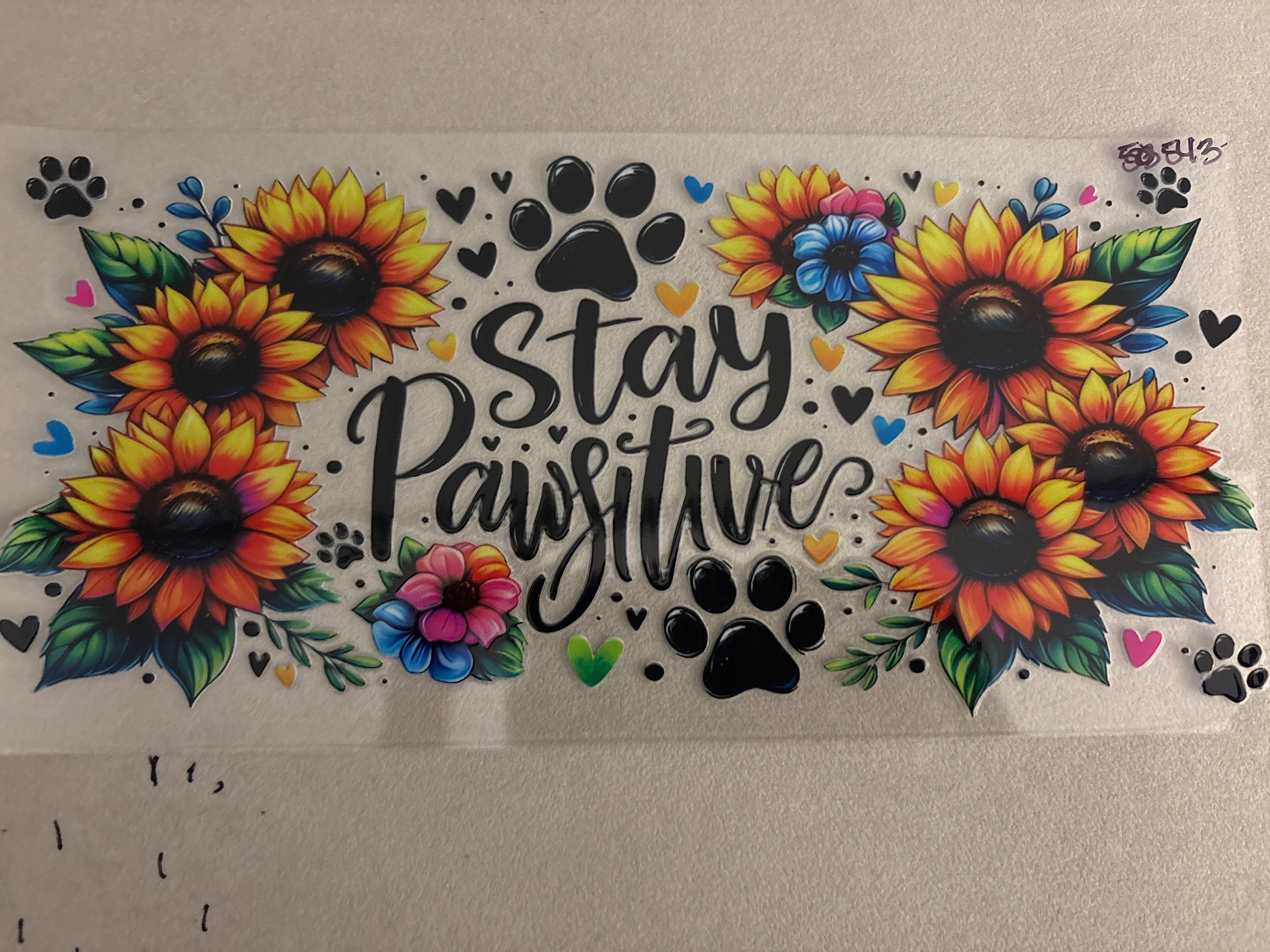 543 stay pawsitive
