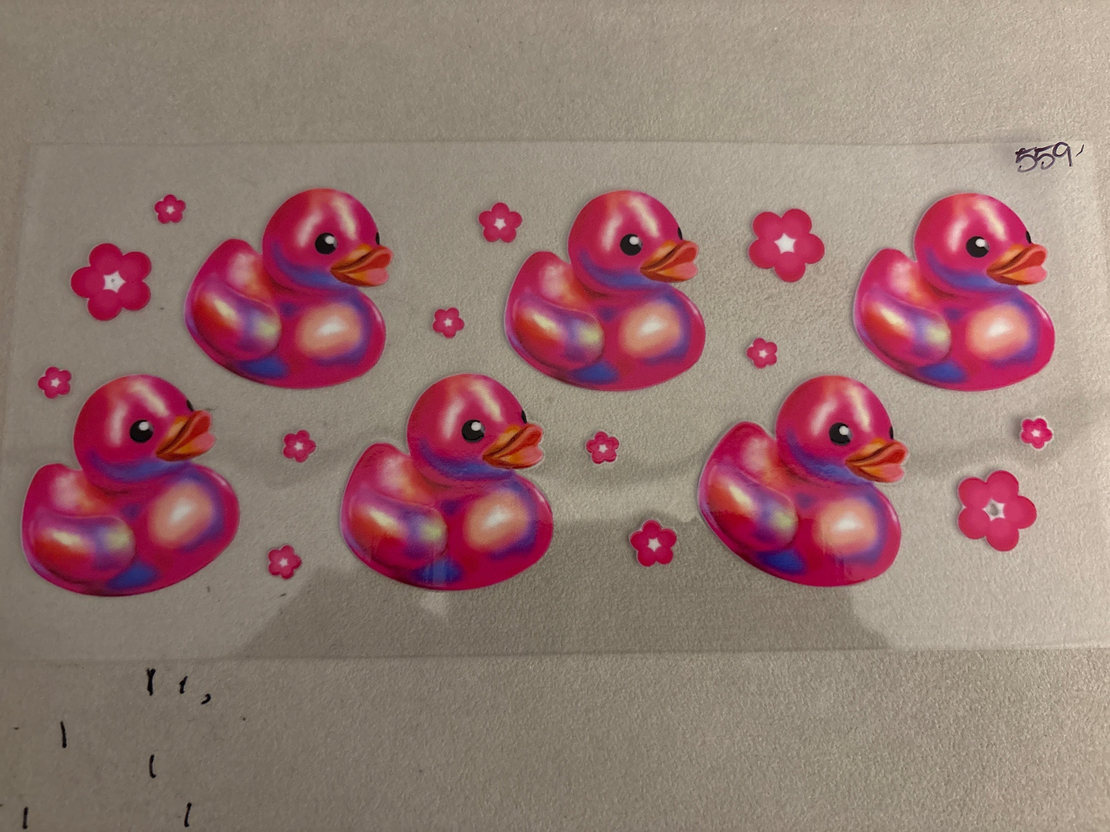 559 ducks
