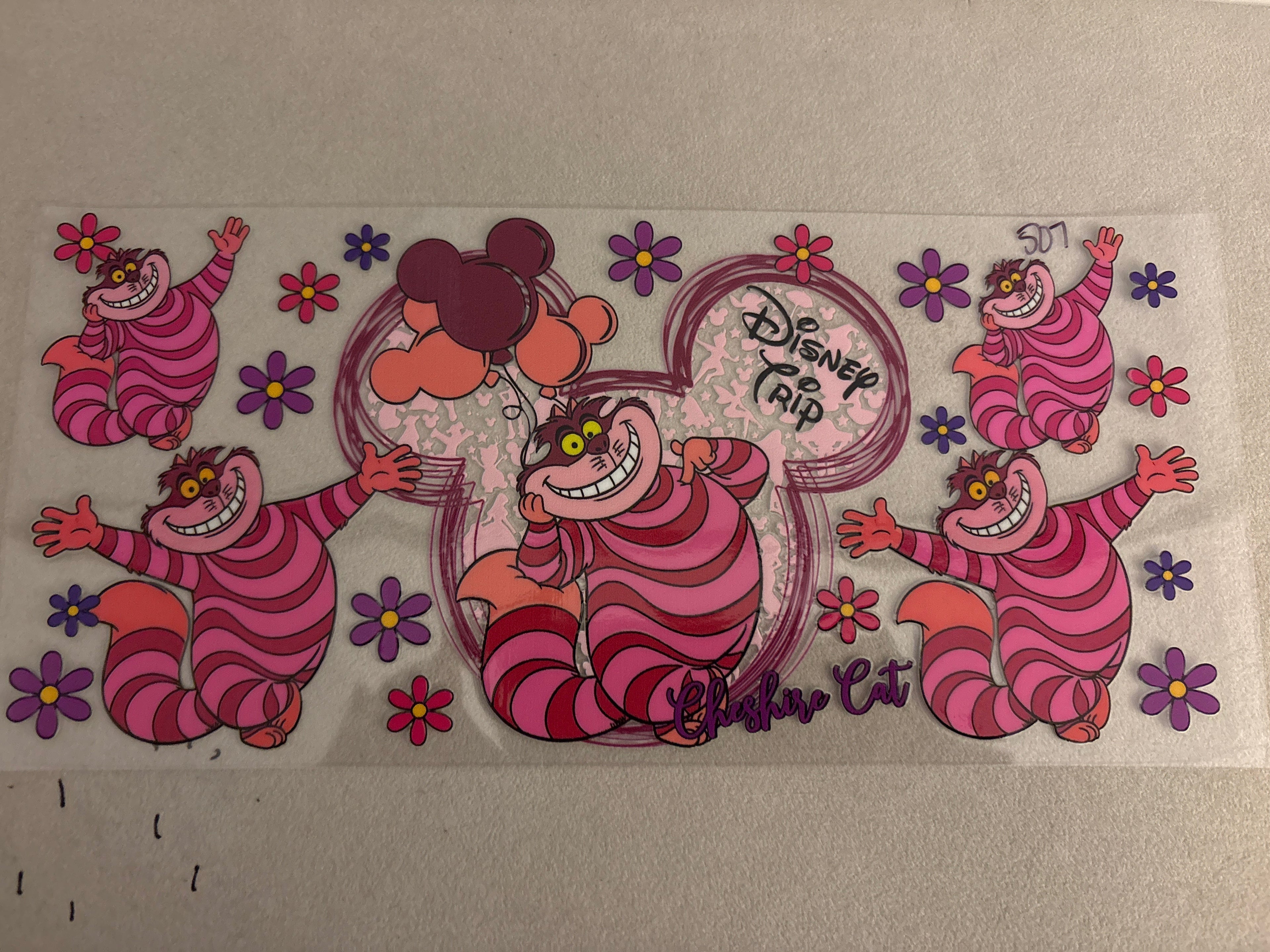 507 Cheshire cat